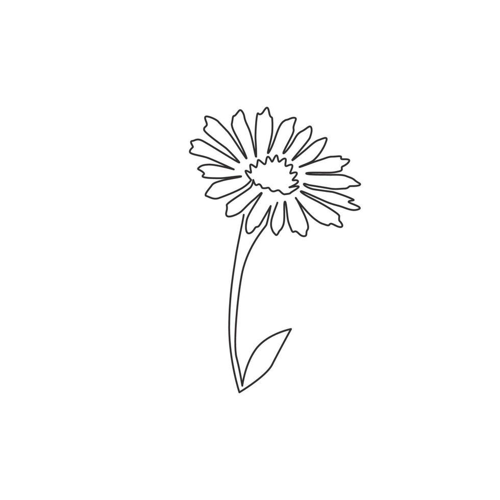 dessin au trait continu unique de beauté fraîche bellis perennis pour l'art de l'affiche de la décoration murale de la maison. concept de fleur de marguerite commune décorative imprimable. Une ligne moderne dessiner illustration vectorielle de conception graphique vecteur