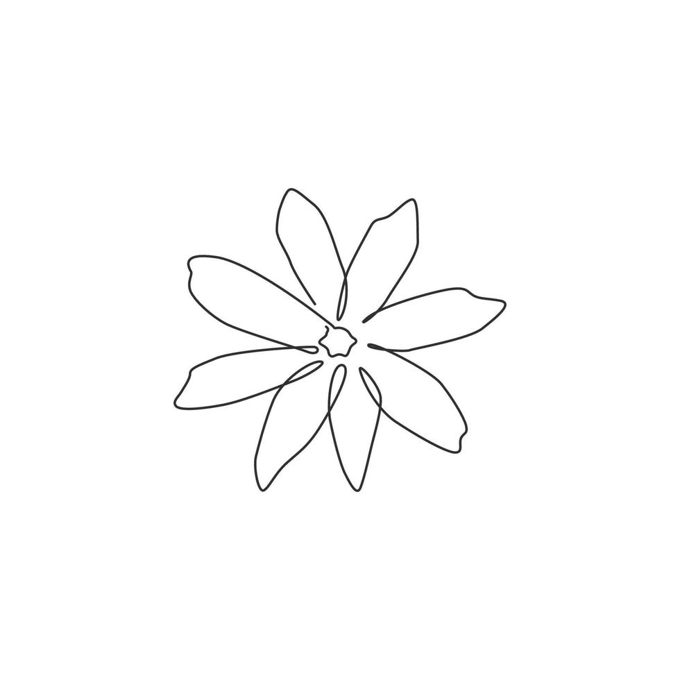 dessin au trait continu unique de la beauté fraîche de la fleur de jasmin à feuilles persistantes. concept de jasminum d'affiche décorative imprimable pour l'art de décoration de mur à la maison. Une ligne moderne dessiner illustration vectorielle graphique de conception vecteur