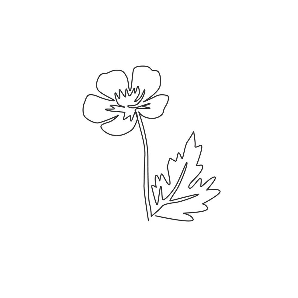 simple dessin au trait beauté renoncule fraîche pour la décoration murale maison affiche impression art. fleur de renoncule décorative imprimable pour l'ornement de carte de voeux. ligne continue dessiner illustration vectorielle de conception vecteur