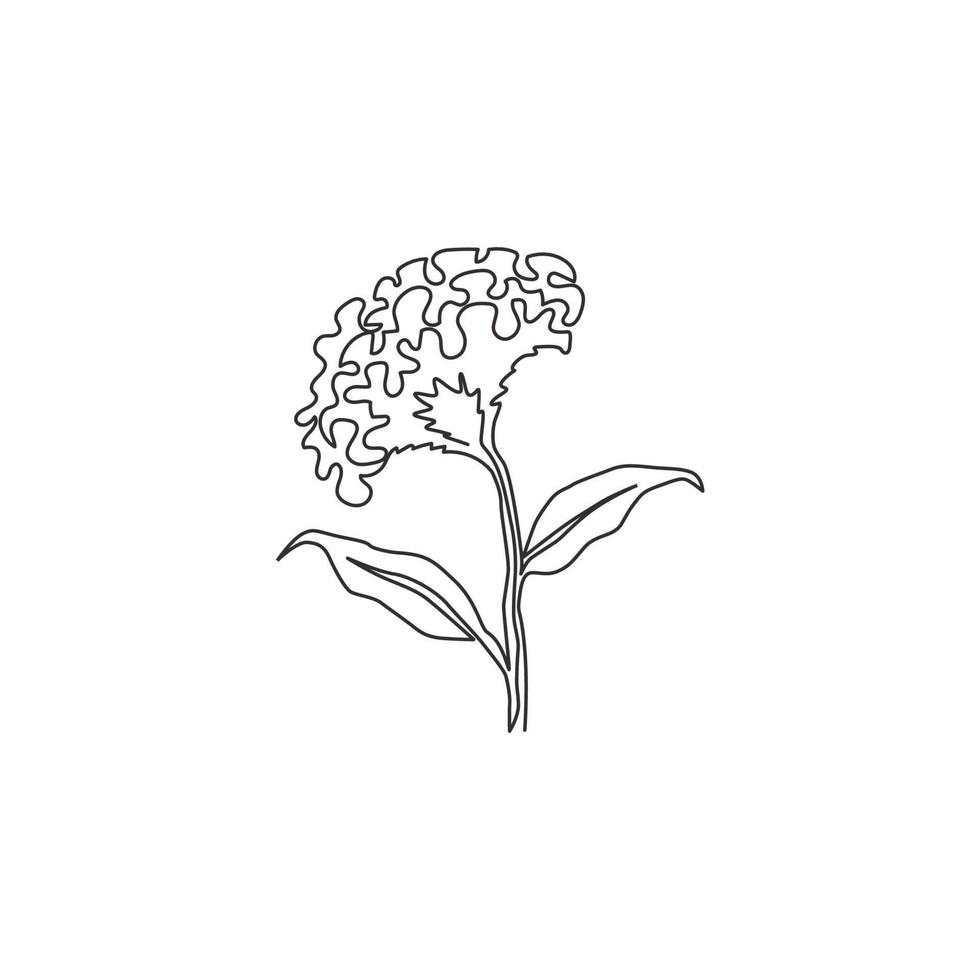 dessin au trait continu unique de fleurs de laine fraîche de beauté pour le logo de jardin. fleur décorative imprimable en crête de coq pour la décoration murale de la maison affiche d'art. Une ligne moderne dessiner illustration vectorielle de conception vecteur