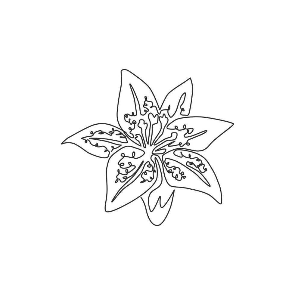 un dessin au trait continu de beauté lilium frais pour l'impression d'affiches de décoration murale. fleur de lys tigre décorative imprimable pour ornement de carte de voeux. illustration vectorielle de dessin à une seule ligne vecteur