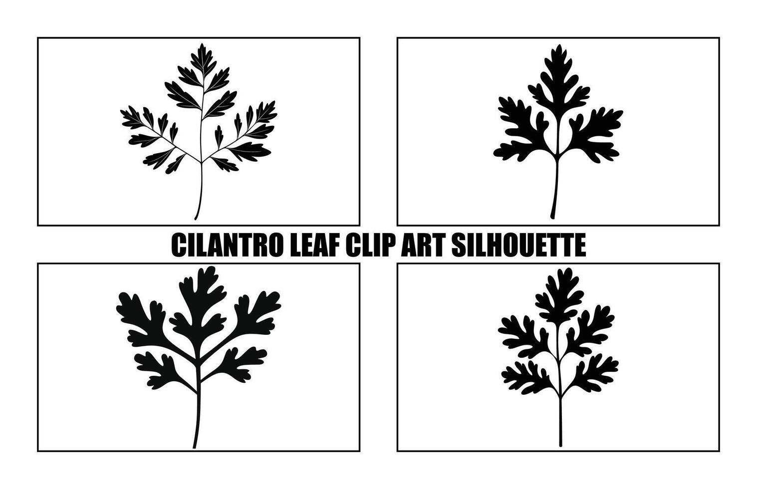 coriandre feuilles silhouette. silhouettes de coriandre feuilles noir clipart collection vecteur