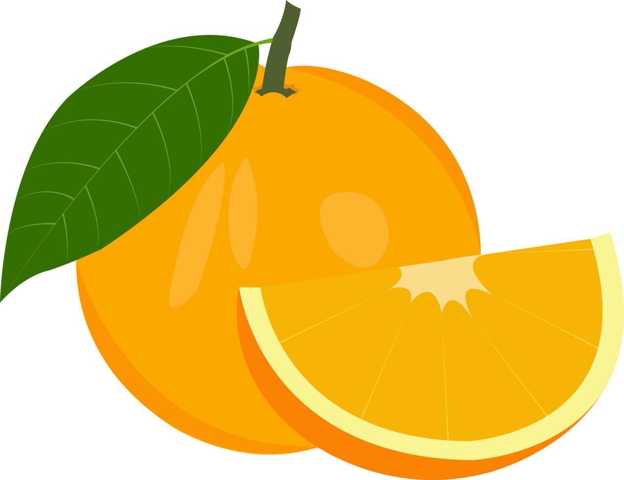 illustrations vectorielles de fruits orange jaune vecteur