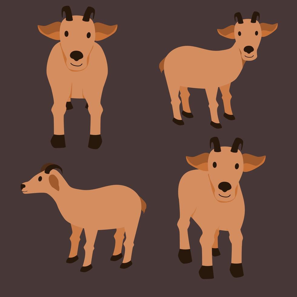 Facile chèvre ensemble illustration, chèvre dessin animé pour eid Al adha vecteur