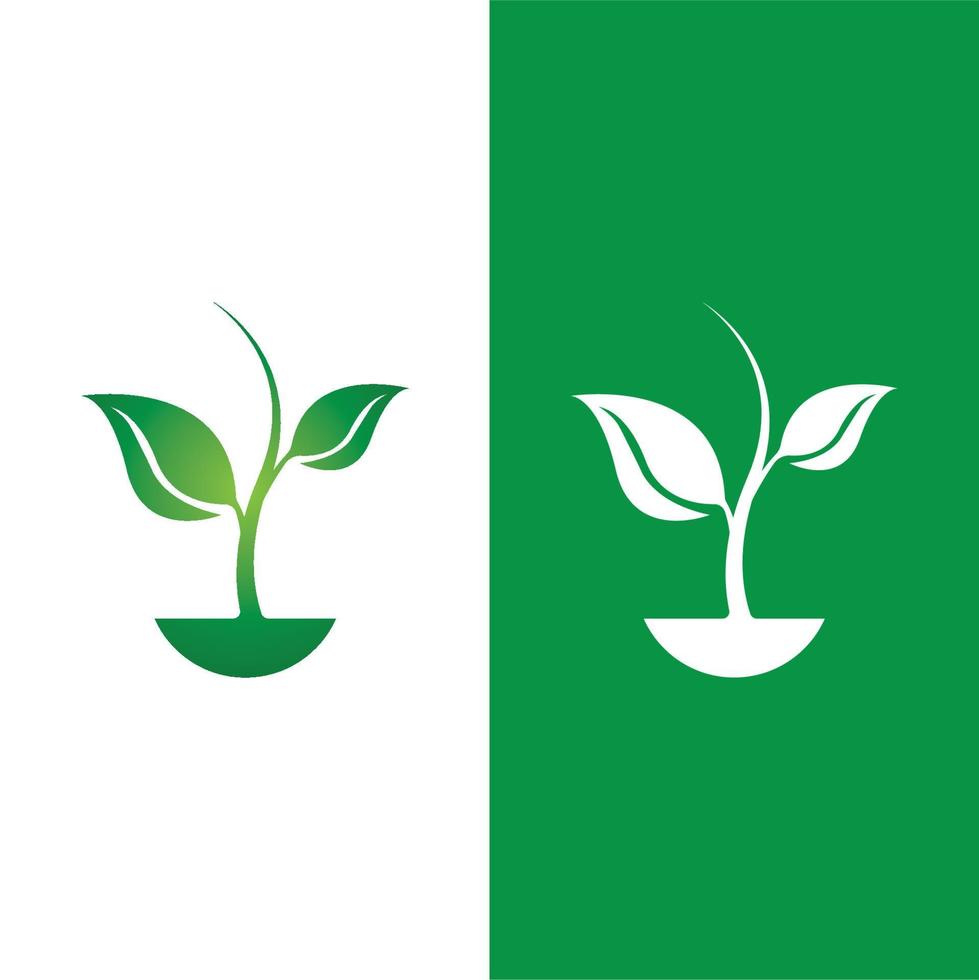 logos de l'écologie des feuilles d'arbre vert vecteur