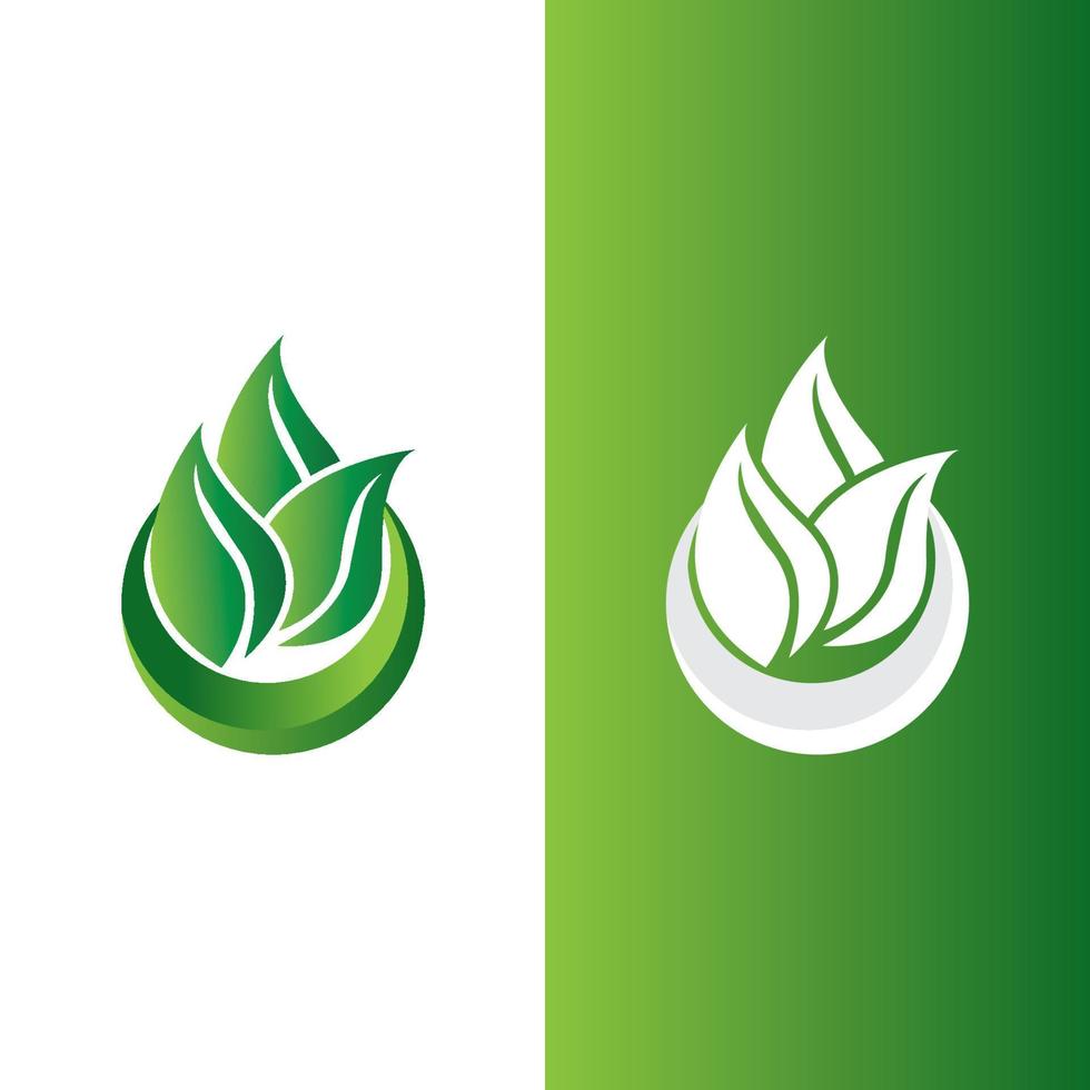 logos de l'écologie des feuilles d'arbre vert vecteur