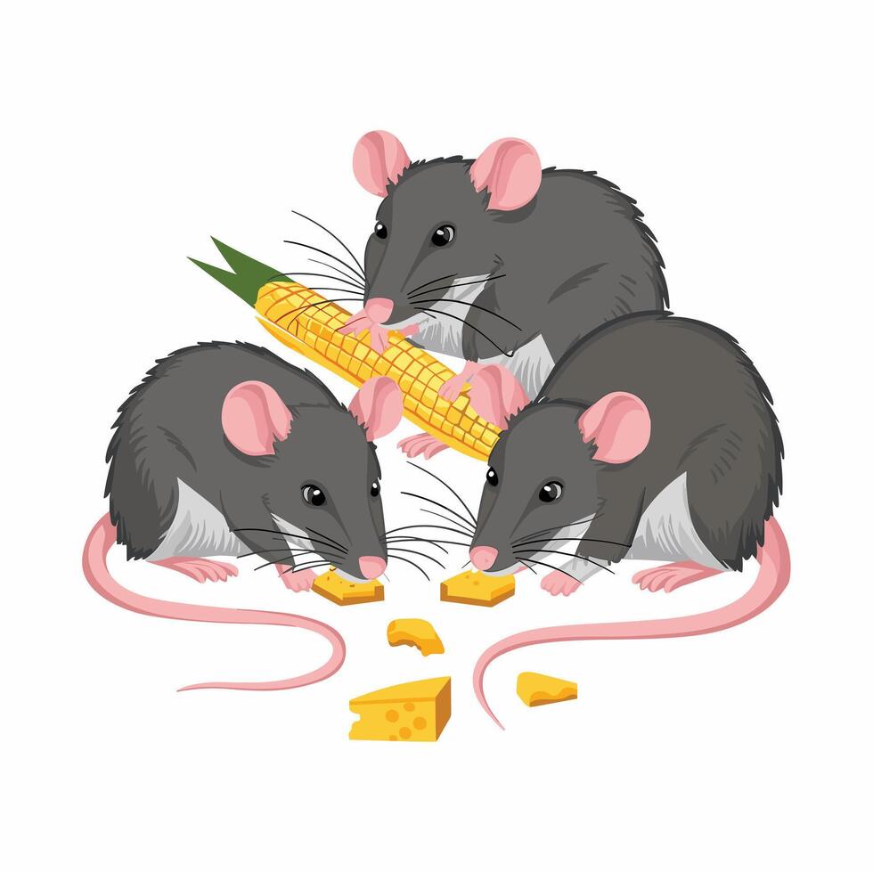 dessin animé Souris ensemble. gris velu rongeur peu rat avec rose chauve queue en marchant ou séance isolé sur blanche. illustration pour animal de compagnie, animal, faune concept vecteur