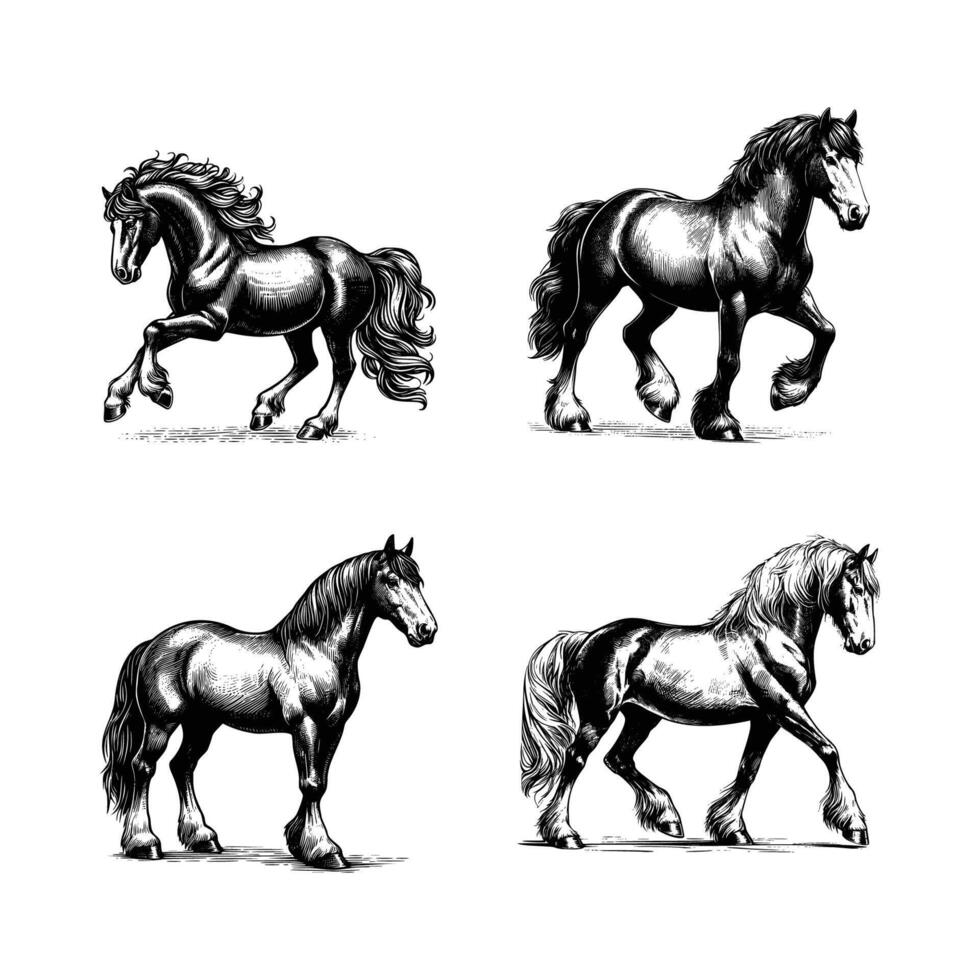 ensemble de cheval illustration. main tiré cheval noir et blanc illustration. isolé blanc Contexte vecteur