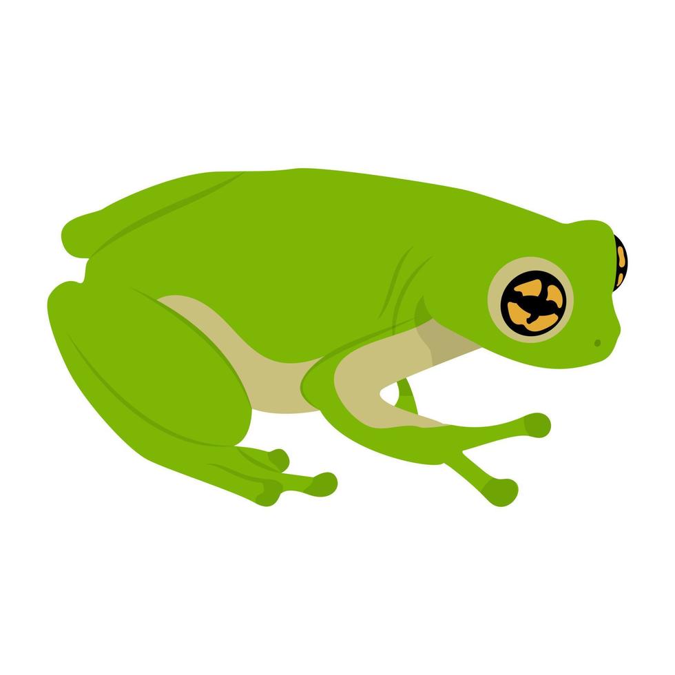 concepts de grenouille à la mode vecteur