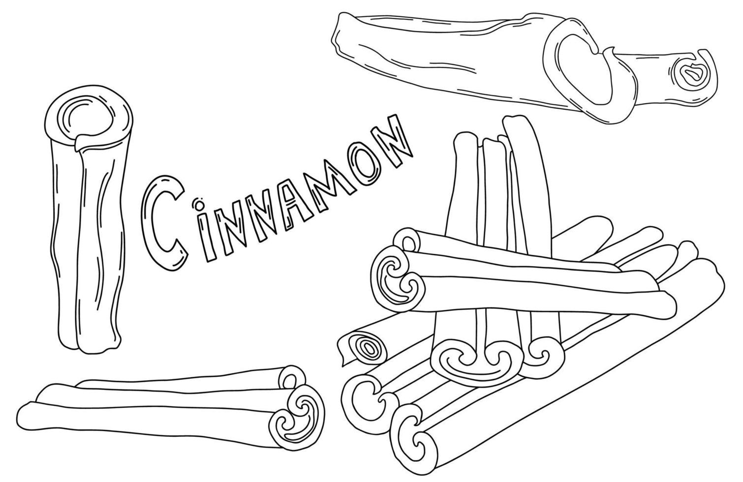 bâtons de cannelle de collection d'épices. épice aromatique. illustration vectorielle. contour. dessin à la main linéaire des éléments isolés pour la conception, la décoration et la décoration culinaire vecteur