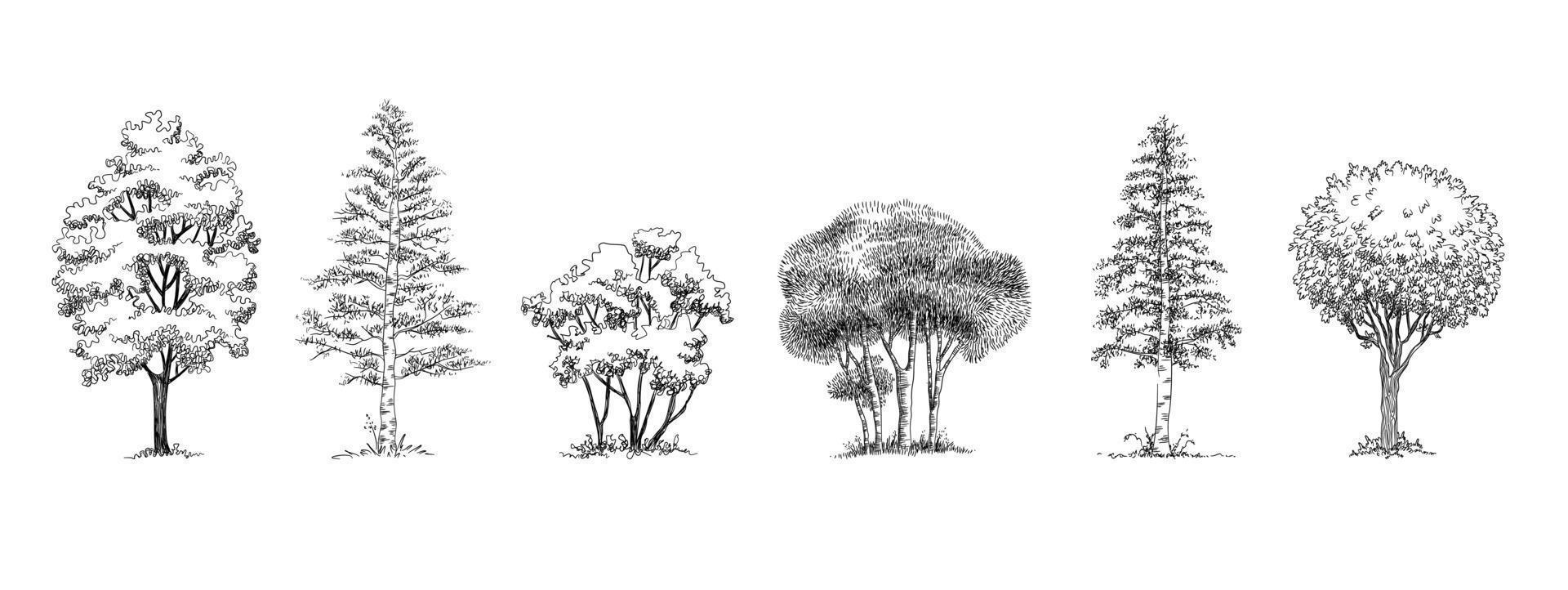 Ensemble d'icônes d'arbres du parc forestier, style dessiné à la main vecteur