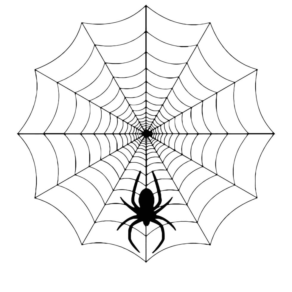 silhouette de toile de tissage d'araignée vecteur