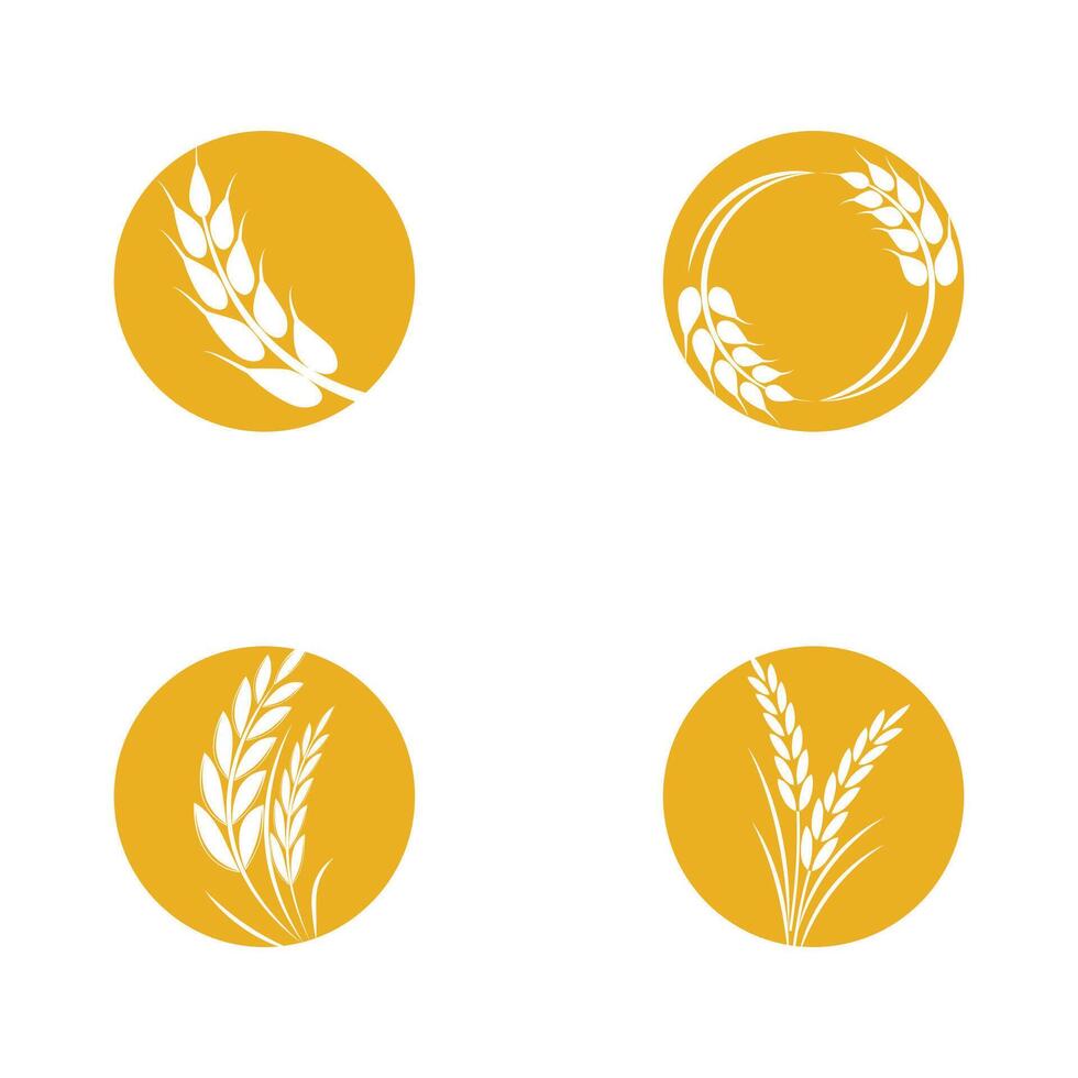 agriculture blé logo modèle et symbole vecteur