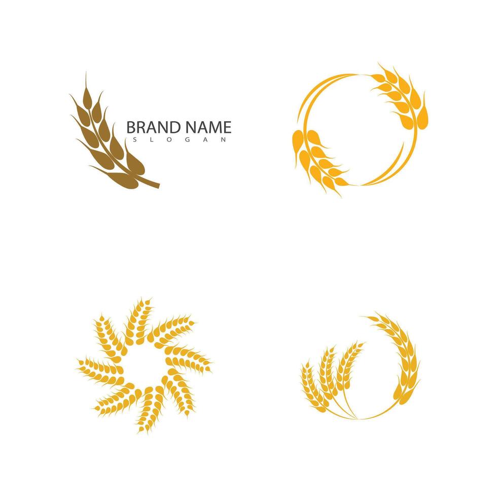 agriculture blé logo modèle et symbole vecteur