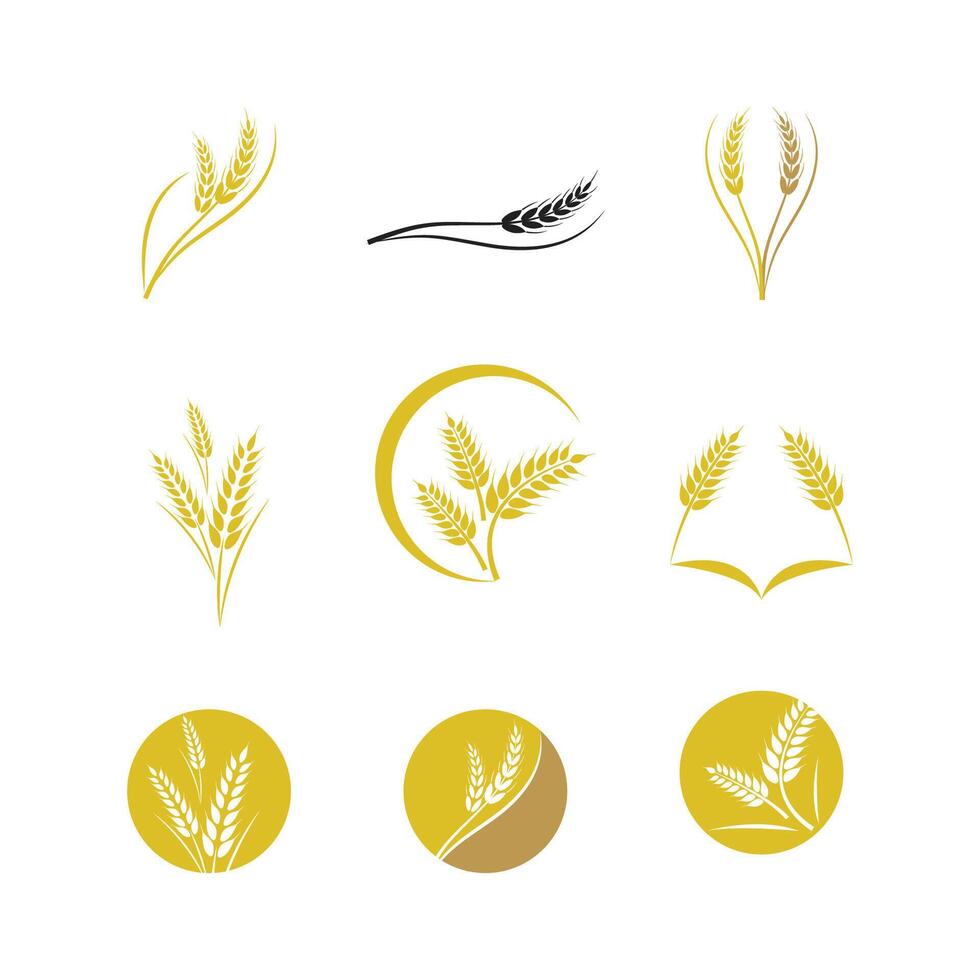 agriculture blé logo modèle et symbole vecteur