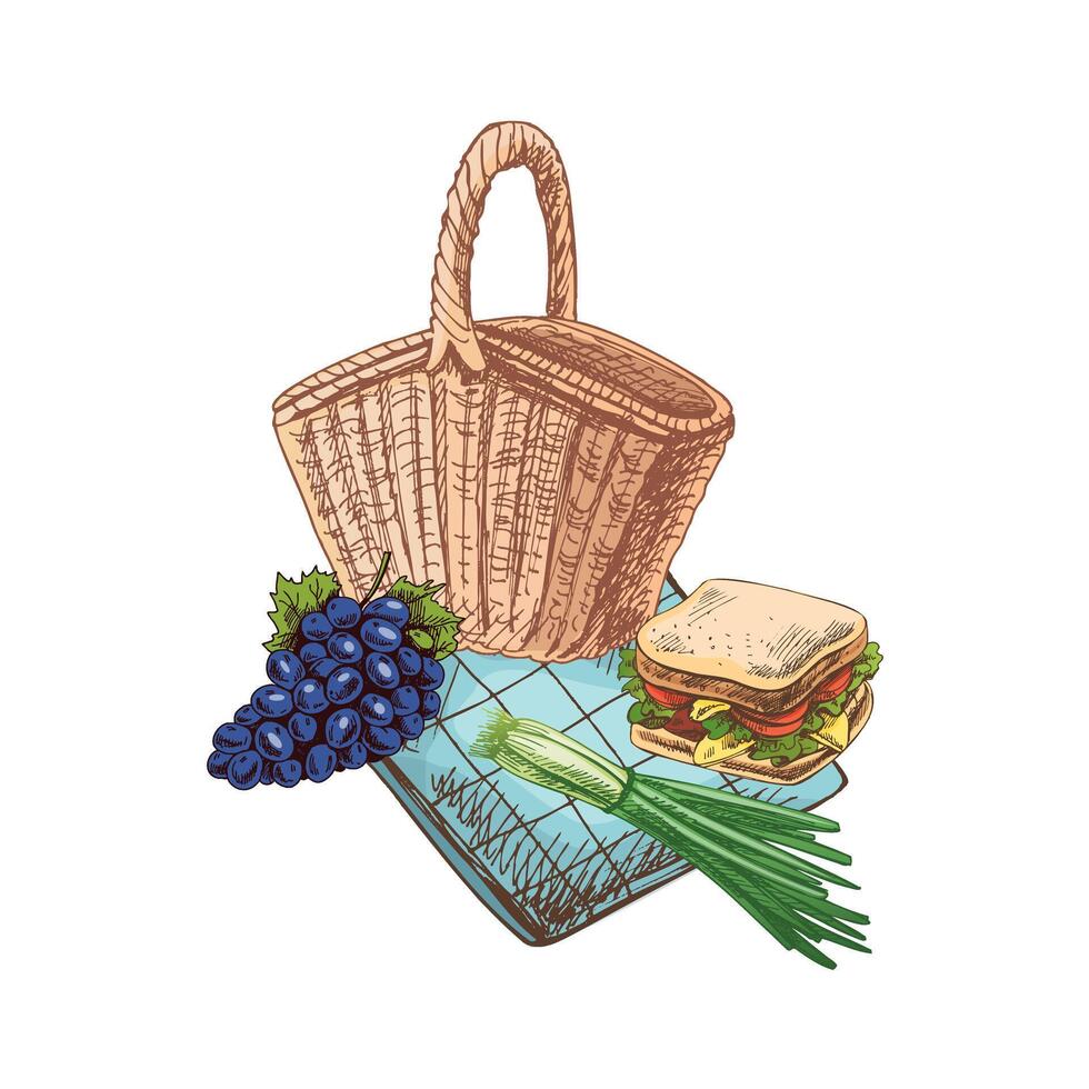 dessiné à la main coloré esquisser de barbecue et pique-nique éléments. pique-nique panier, sandwich, plume oignon, bouquet de raisins, nappe de table. pour conception de menu de Restaurants et les cafés, grillé aliments. vecteur