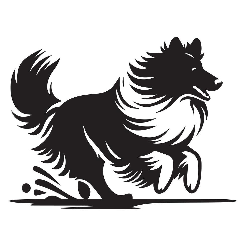 shetland chien de berger - une Sheltie fonctionnement le long de une plage illustration dans noir et blanc vecteur