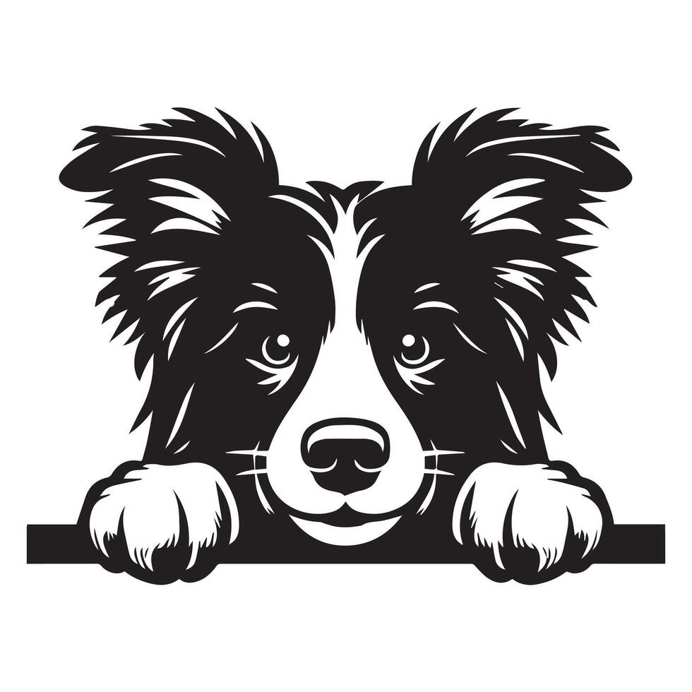 chien furtivement - frontière colley chien furtivement visage illustration dans noir et blanc vecteur