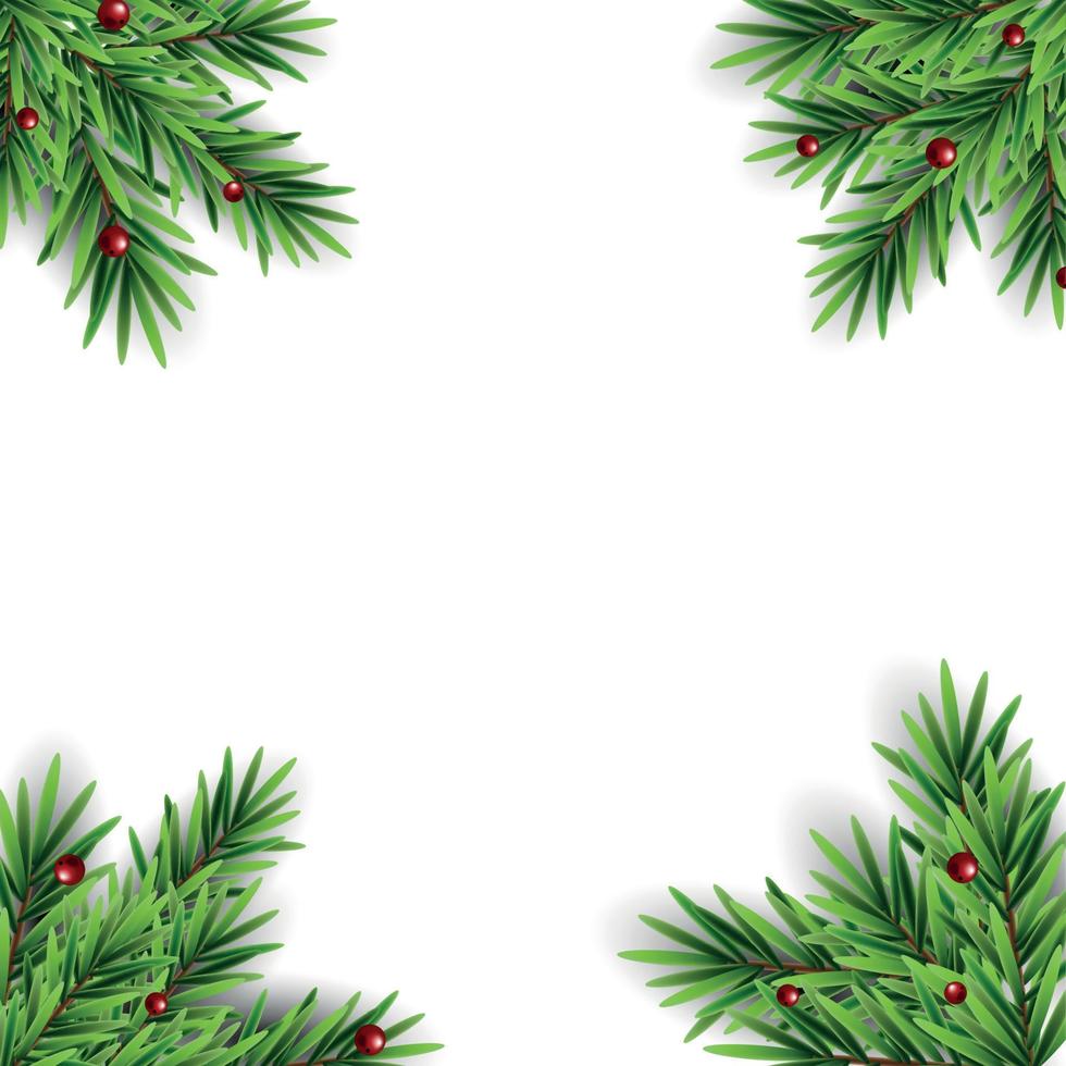 Branches d'épinette avec des baies de sapin résumé fond de Noël vector illustration