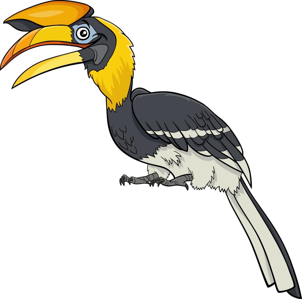illustration de dessin animé de caractère animal oiseau calao vecteur