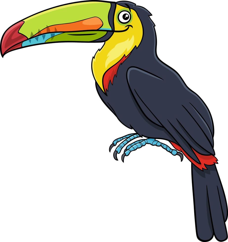 illustration de dessin animé de personnage animal oiseau toucan vecteur