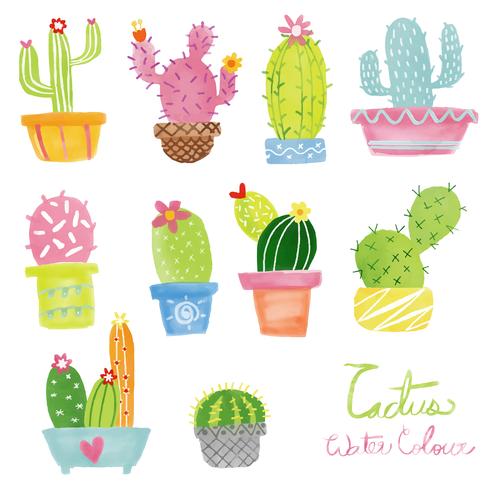 pastel aquarelle cactus set vector