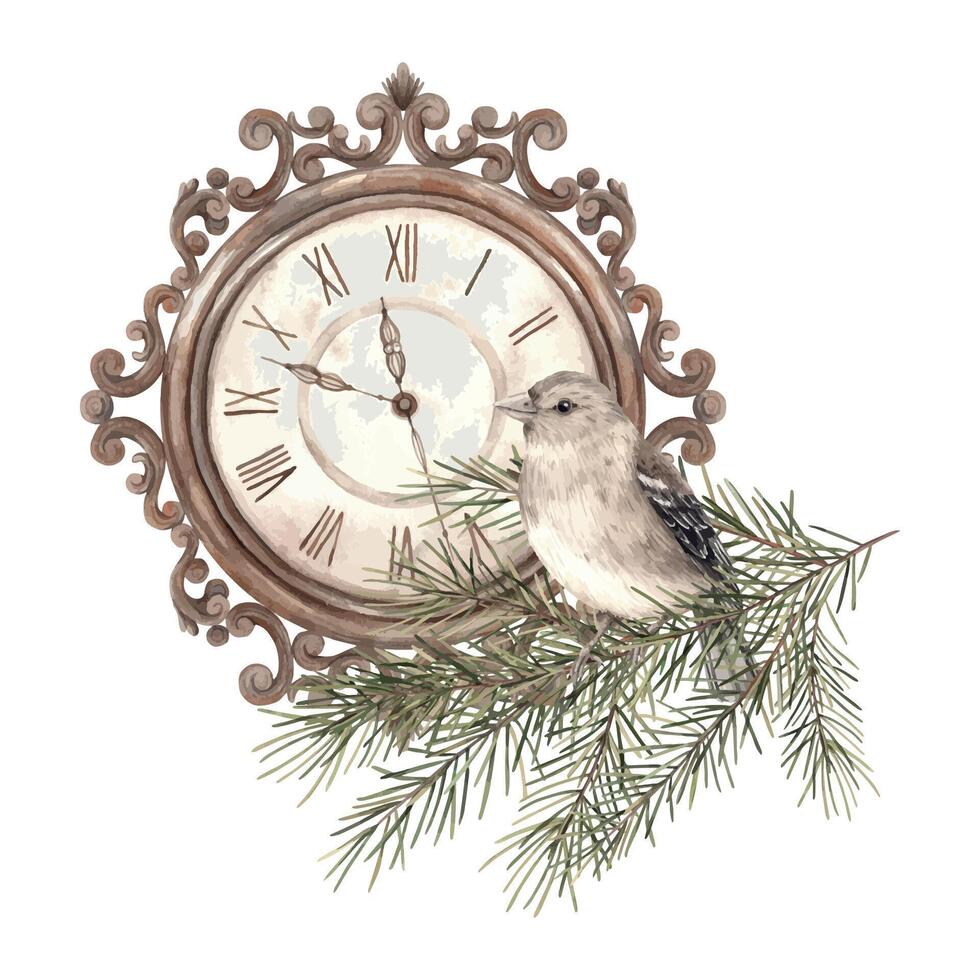 sapin branches, oiseau et cuivre horloge, aquarelle botanique des illustrations sur un isolé Contexte dans ancien style. dessin pour Noël et Nouveau année vacances, faire-part, cartes, emballage papier. vecteur