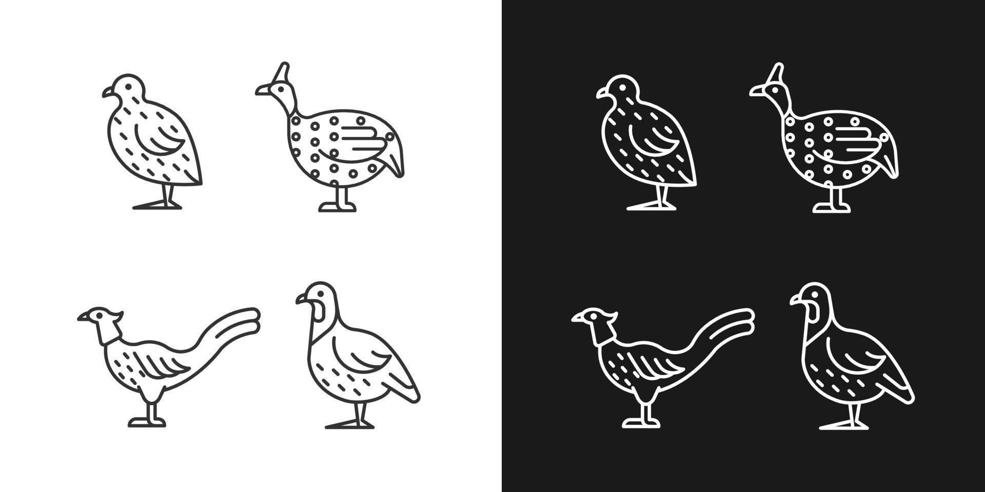 icônes linéaires d'oiseaux terrestres définies pour les modes sombre et clair. caille japonaise. famille de faisans. pintade. symboles de ligne mince personnalisables. illustrations de contour de vecteur isolé. trait modifiable