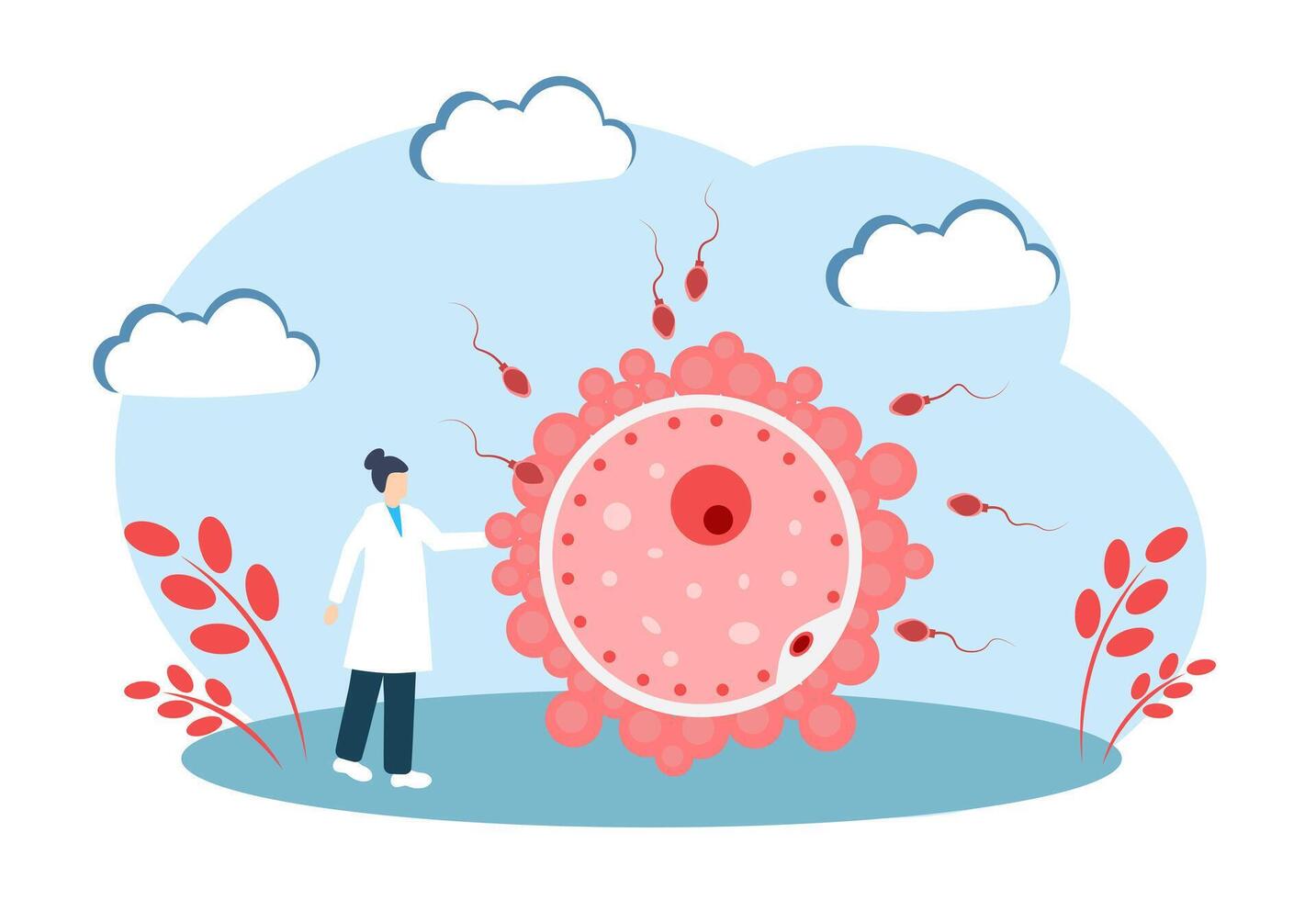 sperme et œuf. le concept de fertilisation. Humain reproducteur système vecteur