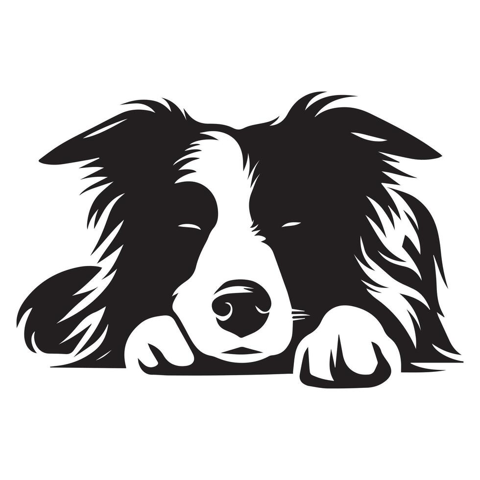 chien - une détendu frontière colley chien visage illustration dans noir et blanc vecteur