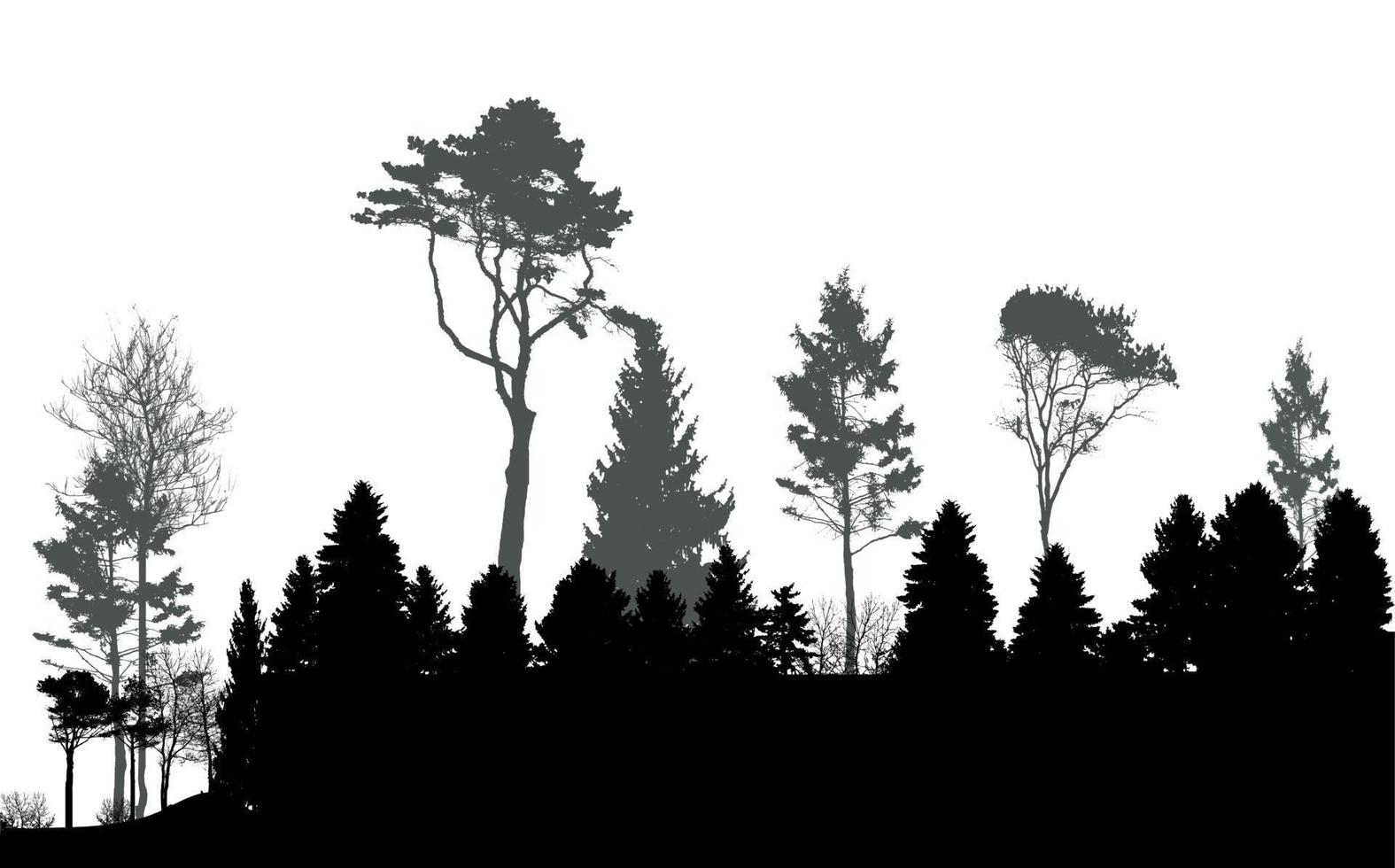 image de la nature. silhouette d'arbre. bannière écologique. illustration vectorielle. vecteur