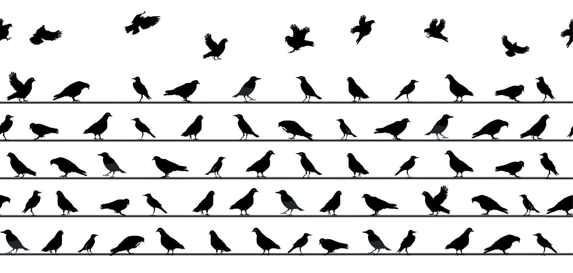 oiseaux assis sur des lignes électriques. modèle sans couture. illustration vectorielle. vecteur