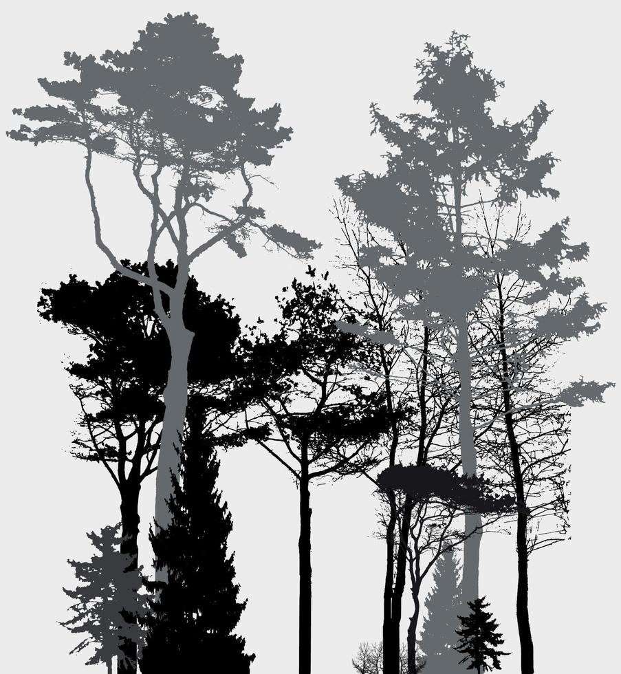 image de la nature. silhouette d'arbre. bannière écologique. illustration vectorielle. vecteur