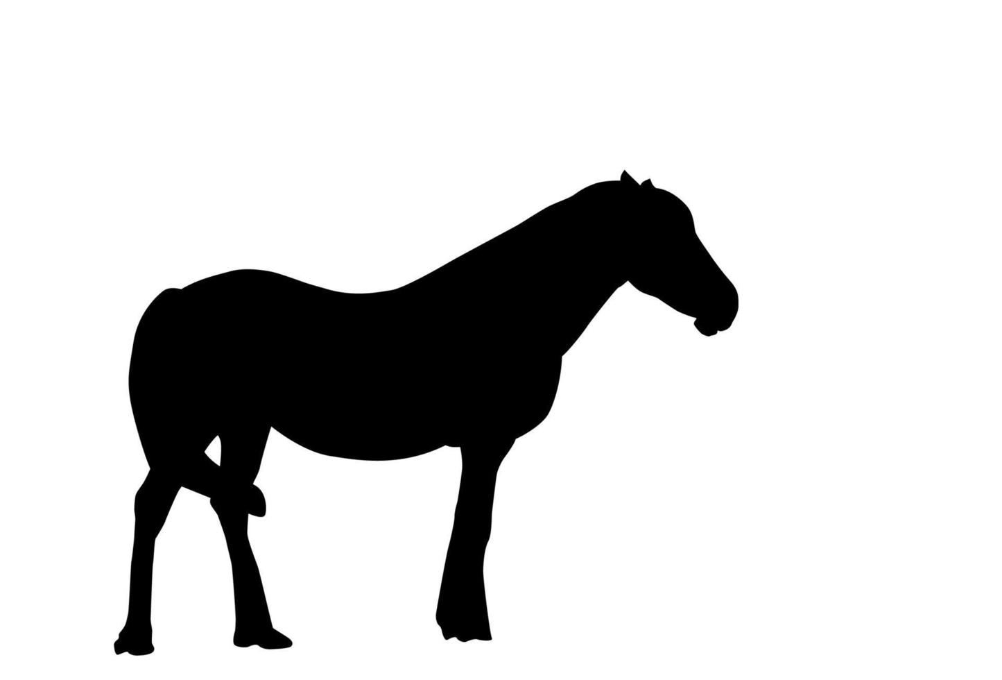 cheval silhouette. illustration vectorielle. vecteur