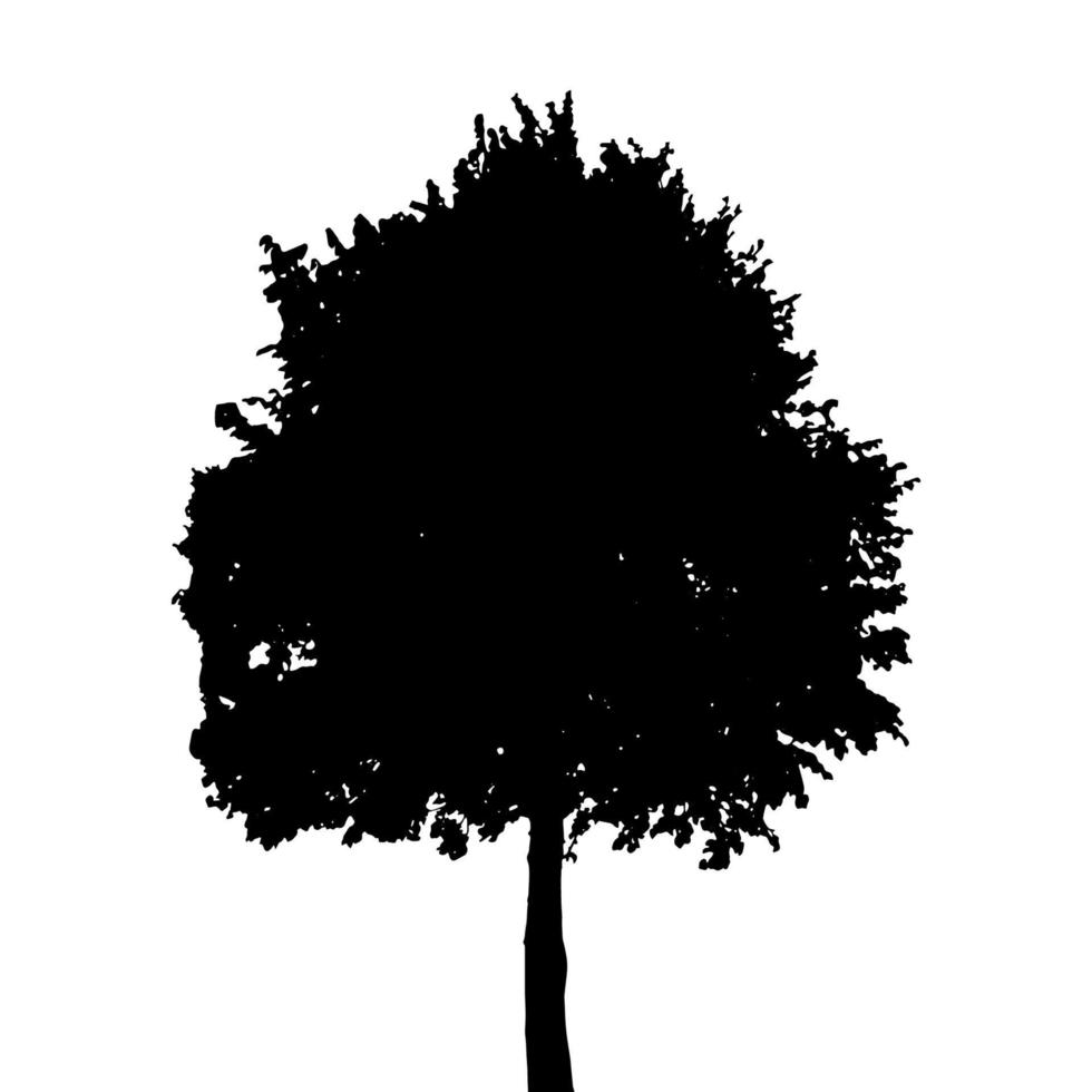 silhouette isolée sur fond blanc. illustration vectorielle. vecteur