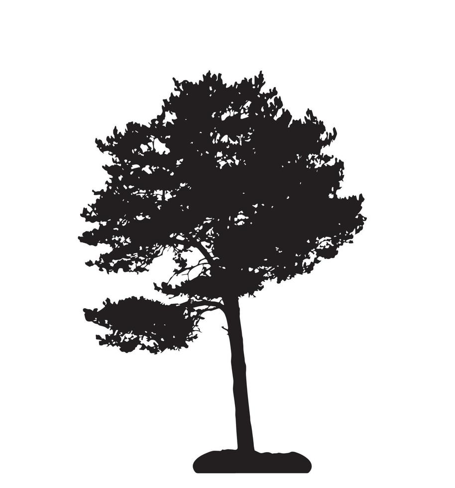 silhouette d'arbre isolé sur fond blanc. illustration vectorielle vecteur