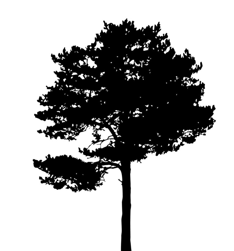 silhouette d'arbre isolé sur fond blanc. illustration vectorielle vecteur
