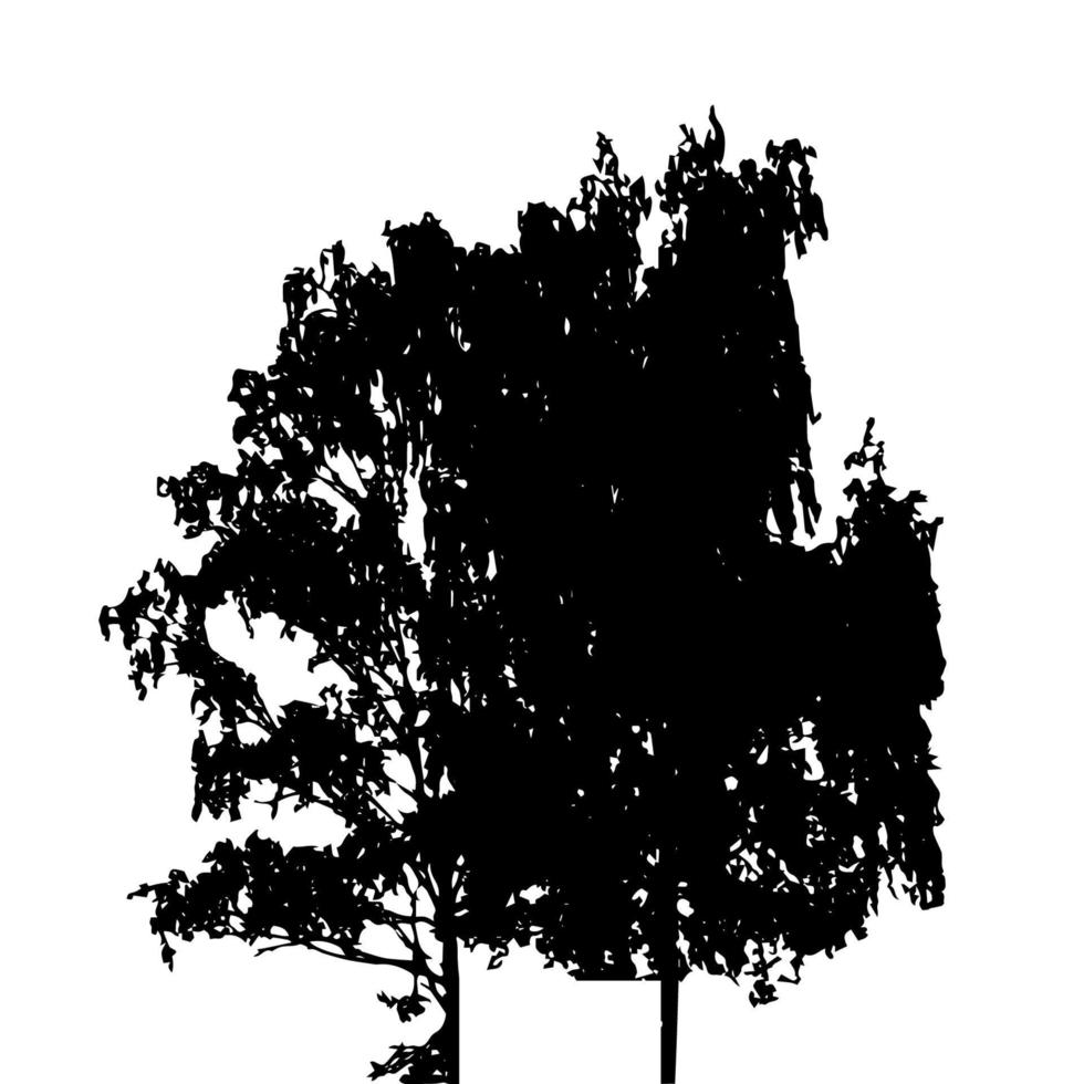 silhouette d'arbre isolé sur fond blanc. illustration vectorielle vecteur