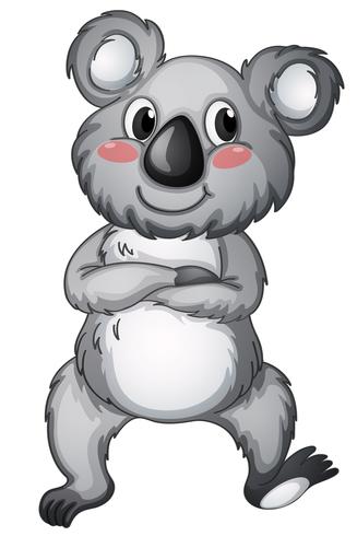 koala vecteur