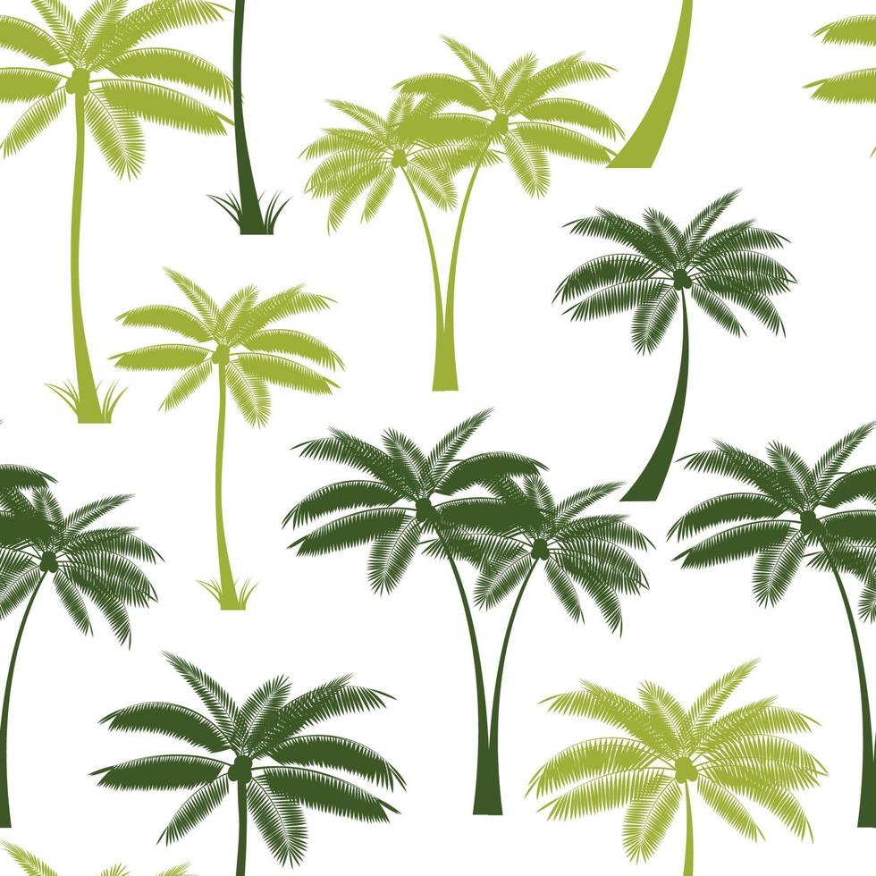 feuille de palmier, seamless, fond, vecteur, illustration vecteur