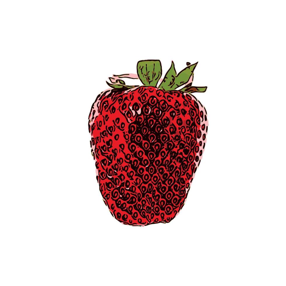 fraise savoureuse et sucrée. illustration vectorielle. eps10 vecteur