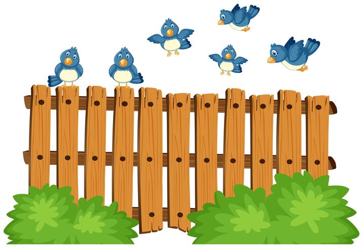 Oiseaux bleus survolant une clôture en bois vecteur