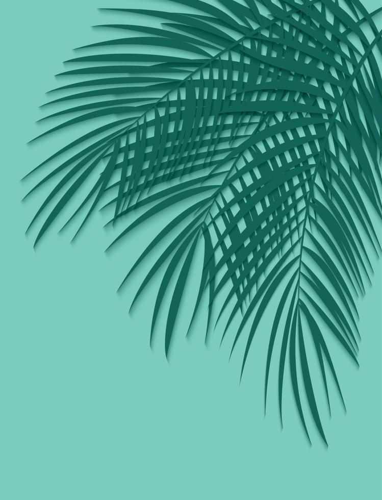 beau fond de feuille de palmier. illustration vectorielle vecteur