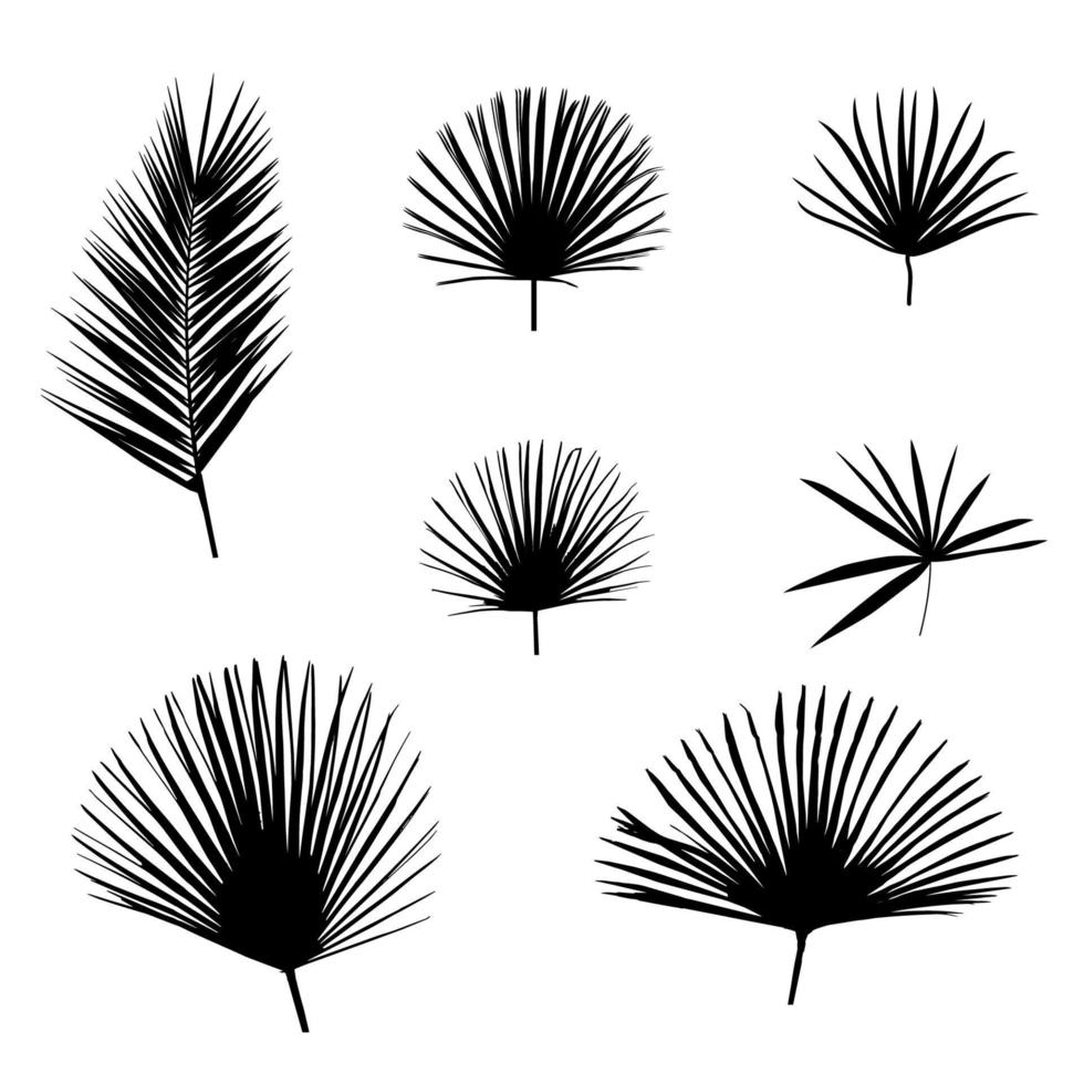 feuille de palmier noir sur fond blanc. illustration vectorielle. vecteur