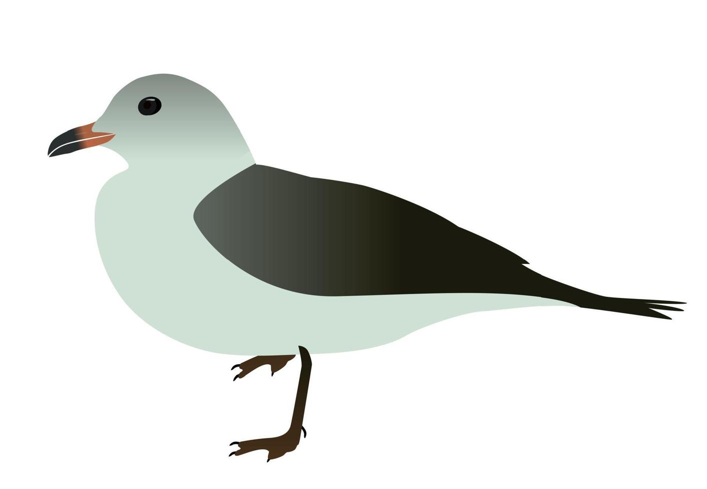 mouette oiseau de mer. isolé sur fond blanc. illustration vectorielle. vecteur