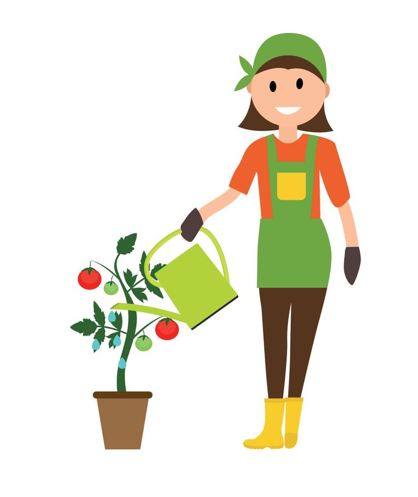 Agriculteur jardinier femme avec arrosoir et plant de tomate en illustration vectorielle de style plat moderne vecteur