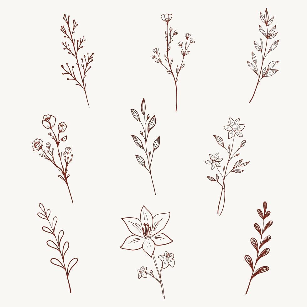 fleurs sauvages, herbes, feuilles et branches minimalistes. illustration vectorielle. vecteur