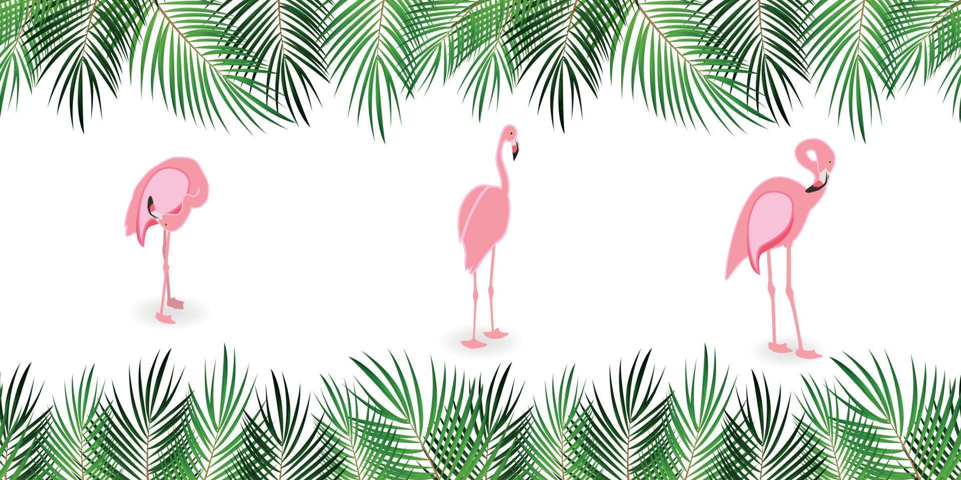 cadre de feuille de palmier avec fond blanc. illustration vectorielle. vecteur