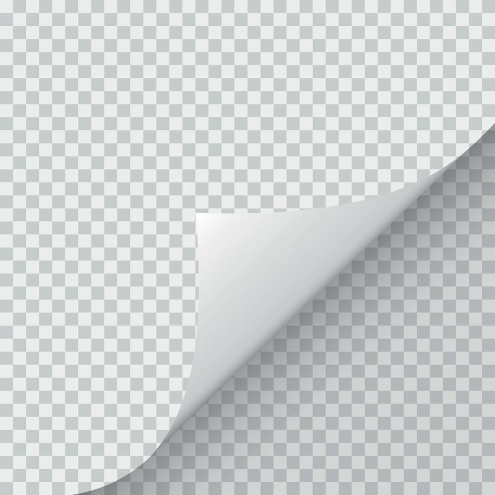 la forme de l'angle plié est libre pour le remplissage. illustration vectorielle. vecteur