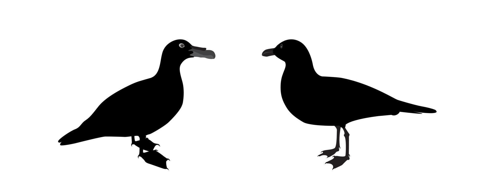 silhouette de canard d'eau sur fond blanc. illustration vectorielle vecteur